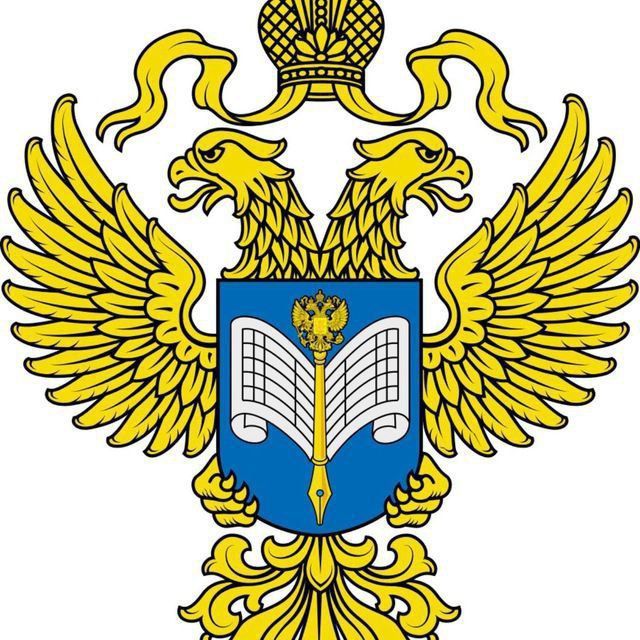 О предоставлении статотчётности.