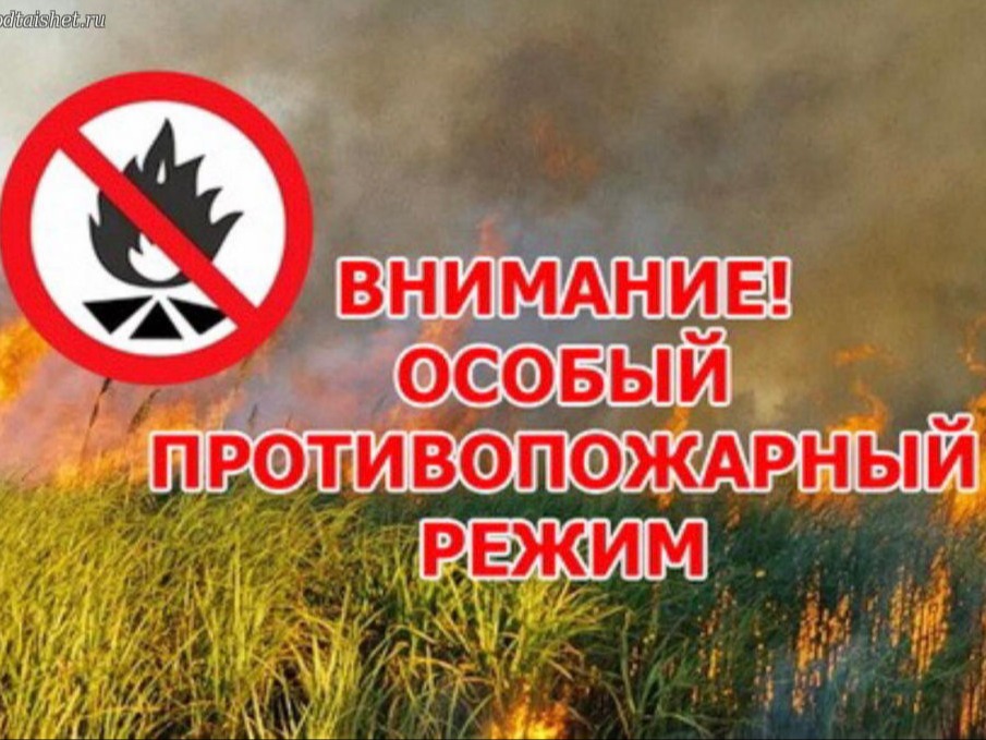 С 30 августа в Запорожской области вводится особый противопожарный режим.