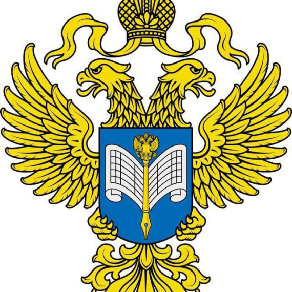 О предоставлении статотчётности. О предоставлении статотчётности.